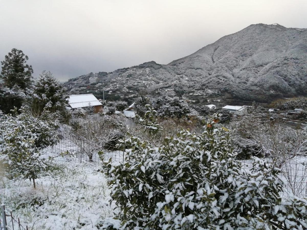 Kumano Kodo Nagano Guesthouse Tanabe Eksteriør bilde