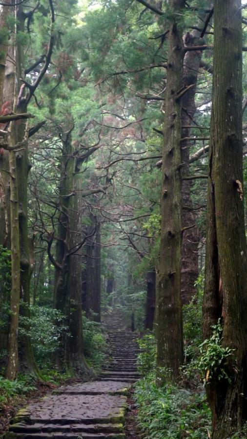 Kumano Kodo Nagano Guesthouse Tanabe Eksteriør bilde